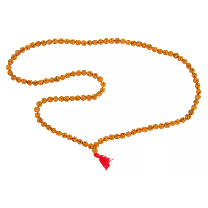 Mala llavors Rudraksha