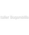 Taller Bugambilia